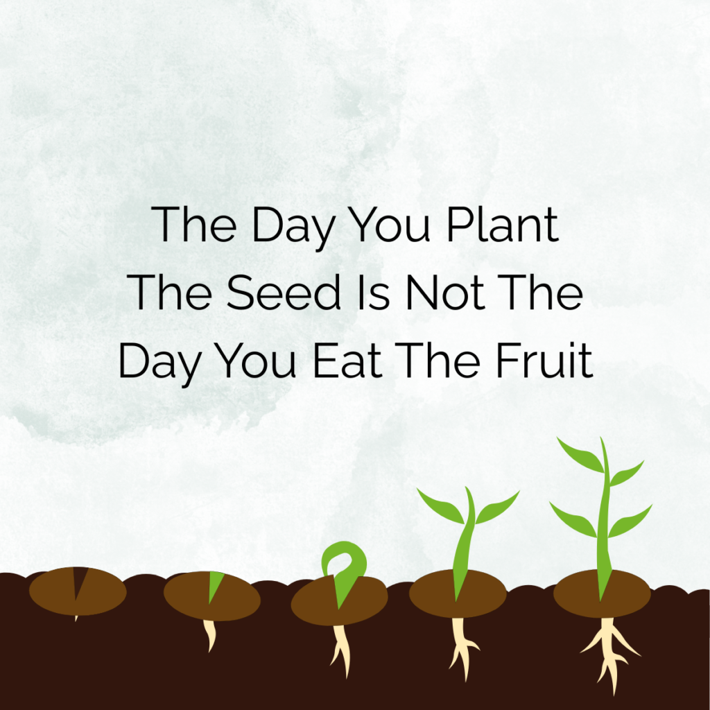 The day you plant the seed is not the day you eat the fruit with images of seed growing